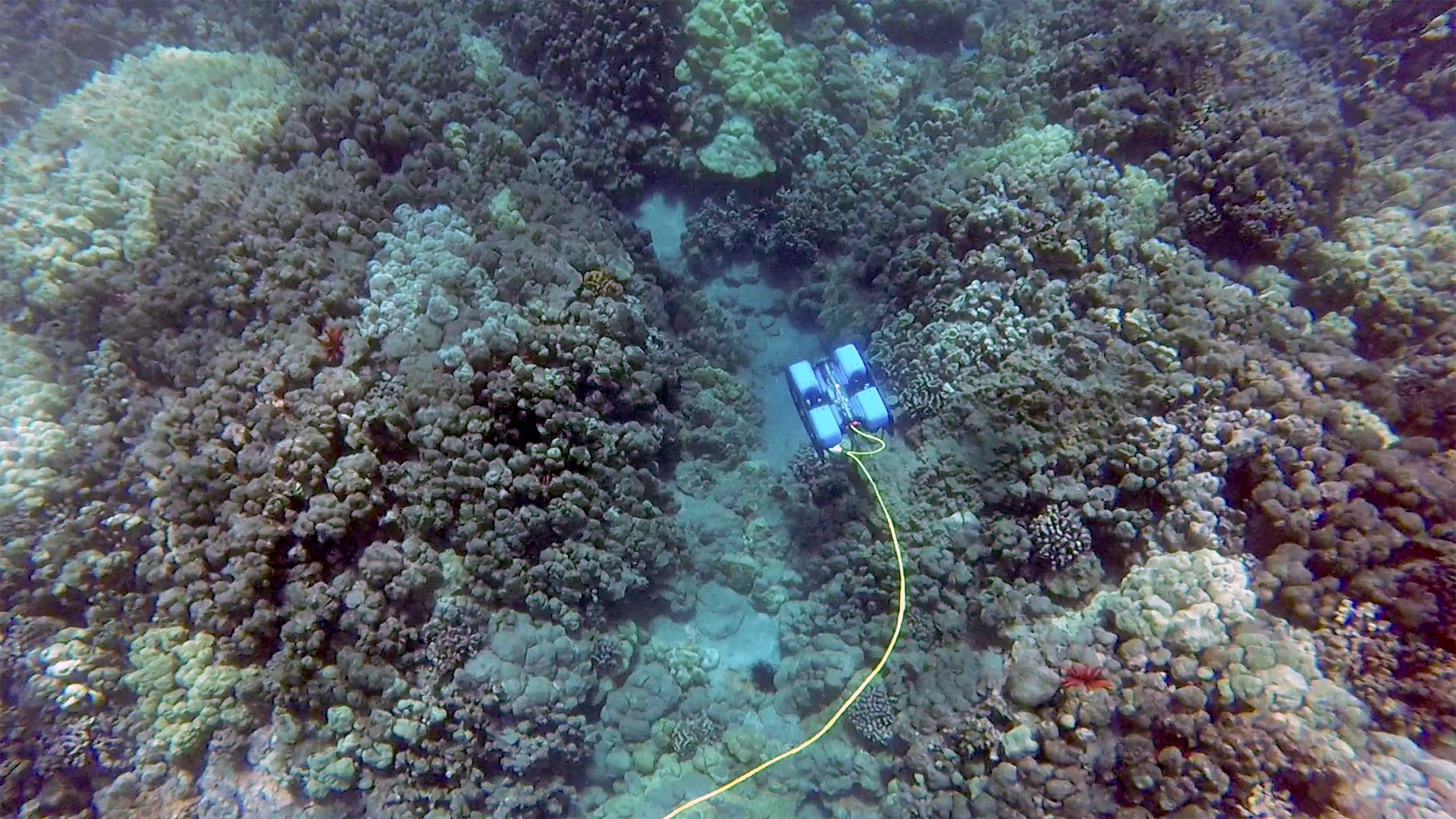 Дистанційно керований підводний апарат BlueROV2 Марко Лтд фото  - 3